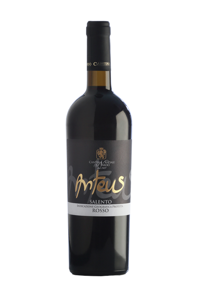 Anteus Red IGP Negroamaro Salento 2011 Case of 6 Wines