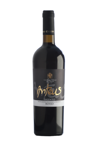 Anteus Red IGP Negroamaro Salento 2011 Case of 6 Wines